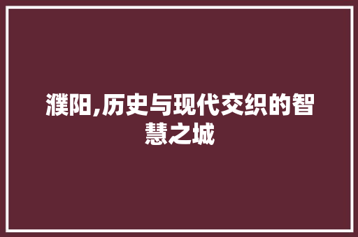濮阳,历史与现代交织的智慧之城 网站建设公司