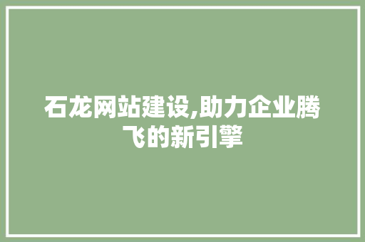 石龙网站建设,助力企业腾飞的新引擎 SEO关键词