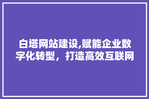 白塔网站建设,赋能企业数字化转型，打造高效互联网平台