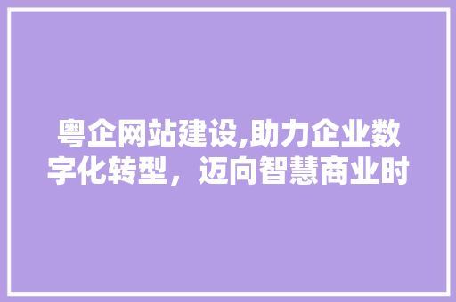 粤企网站建设,助力企业数字化转型，迈向智慧商业时代 神马SEO