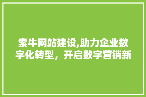 索牛网站建设,助力企业数字化转型，开启数字营销新篇章