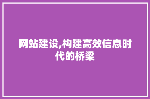 网站建设,构建高效信息时代的桥梁