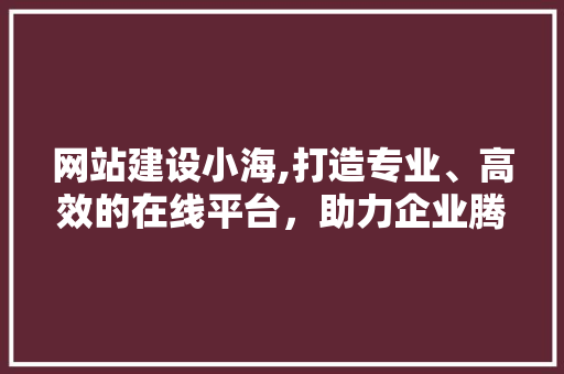 网站建设小海,打造专业、高效的在线平台，助力企业腾飞