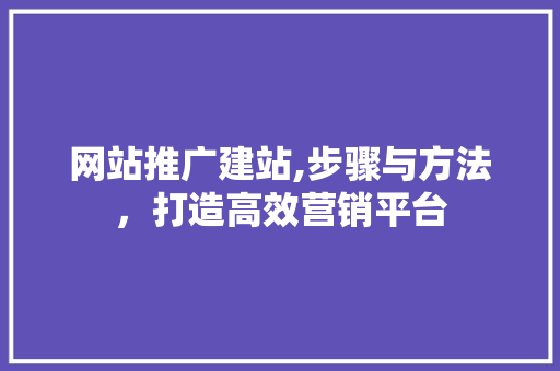 网站推广建站,步骤与方法，打造高效营销平台 必应SEO