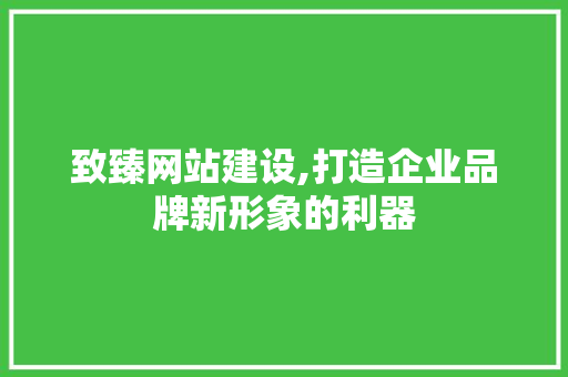 致臻网站建设,打造企业品牌新形象的利器