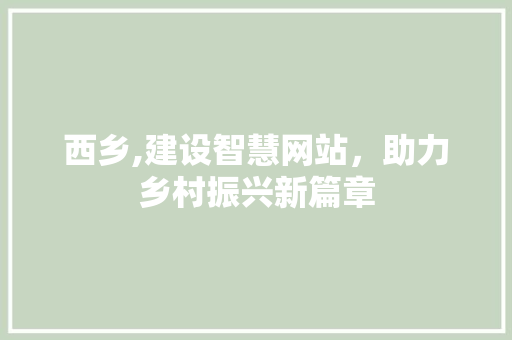 西乡,建设智慧网站，助力乡村振兴新篇章