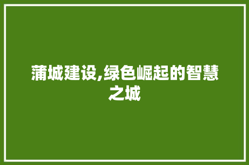 蒲城建设,绿色崛起的智慧之城 神马SEO