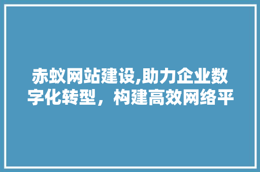 赤蚁网站建设,助力企业数字化转型，构建高效网络平台