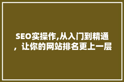SEO实操作,从入门到精通，让你的网站排名更上一层楼 SEO关键词