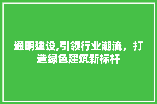 通明建设,引领行业潮流，打造绿色建筑新标杆 必应SEO