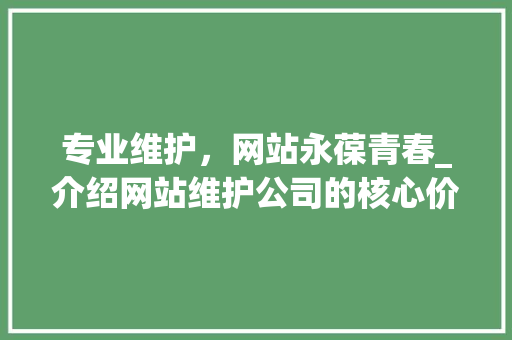 专业维护，网站永葆青春_介绍网站维护公司的核心价值