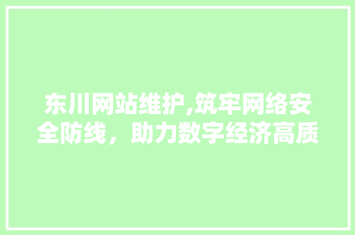 东川网站维护,筑牢网络安全防线，助力数字经济高质量发展 SEO关键词