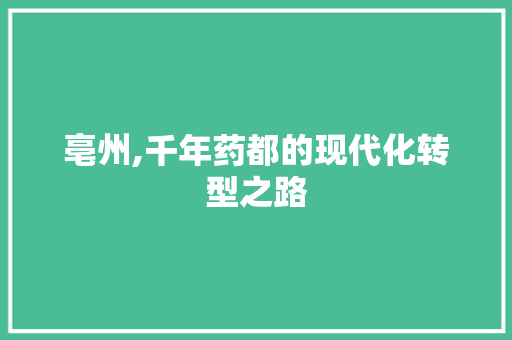 亳州,千年药都的现代化转型之路 SEO关键词