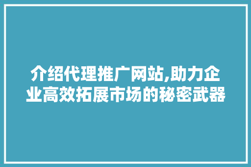 介绍代理推广网站,助力企业高效拓展市场的秘密武器 SEO关键词