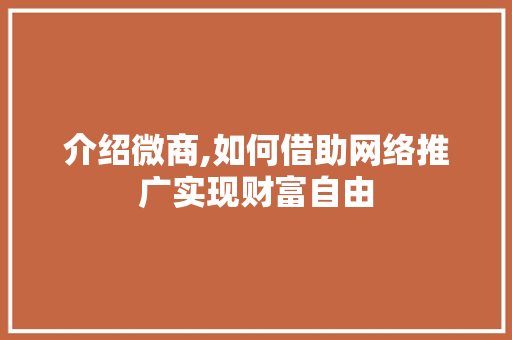 介绍微商,如何借助网络推广实现财富自由 网站建设公司