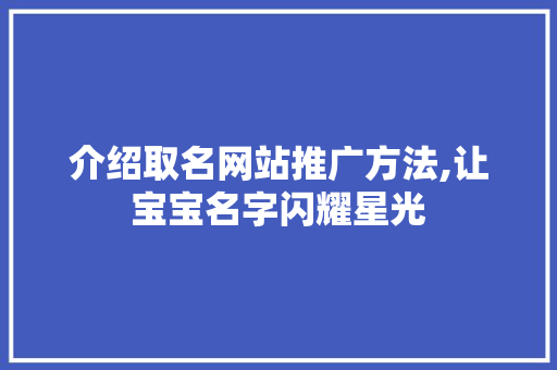 介绍取名网站推广方法,让宝宝名字闪耀星光