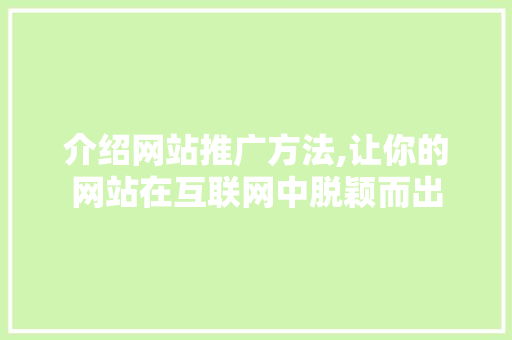 介绍网站推广方法,让你的网站在互联网中脱颖而出 SEO关键词