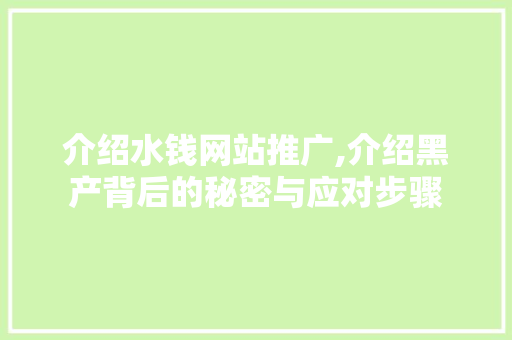 介绍水钱网站推广,介绍黑产背后的秘密与应对步骤