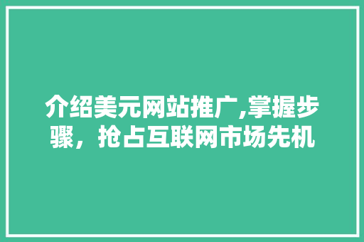 介绍美元网站推广,掌握步骤，抢占互联网市场先机 SEO关键词