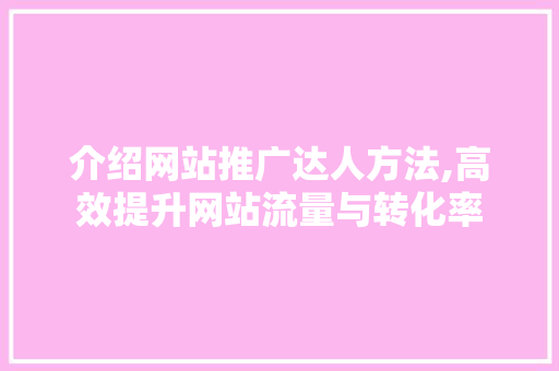介绍网站推广达人方法,高效提升网站流量与转化率 网站建设公司