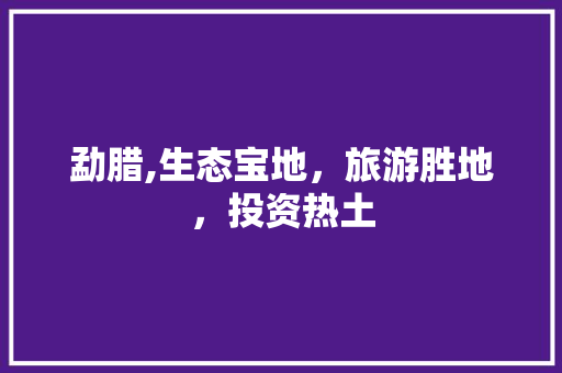勐腊,生态宝地，旅游胜地，投资热土