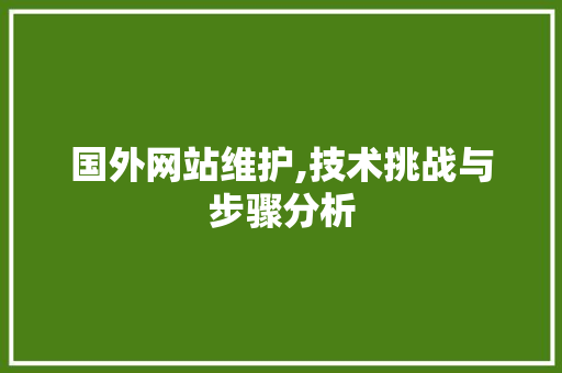 国外网站维护,技术挑战与步骤分析
