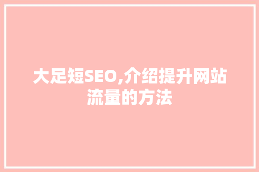 大足短SEO,介绍提升网站流量的方法