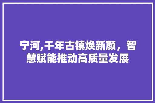 宁河,千年古镇焕新颜，智慧赋能推动高质量发展 必应SEO
