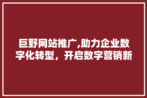 巨野网站推广,助力企业数字化转型，开启数字营销新时代