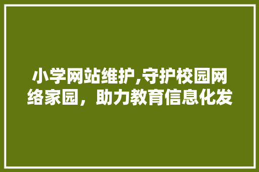小学网站维护,守护校园网络家园，助力教育信息化发展 网站建设公司