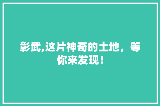 彰武,这片神奇的土地，等你来发现！ 神马SEO
