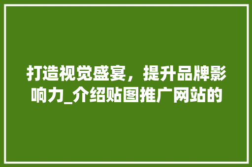 打造视觉盛宴，提升品牌影响力_介绍贴图推广网站的