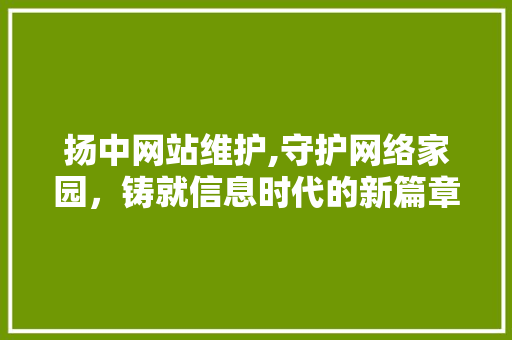 扬中网站维护,守护网络家园，铸就信息时代的新篇章
