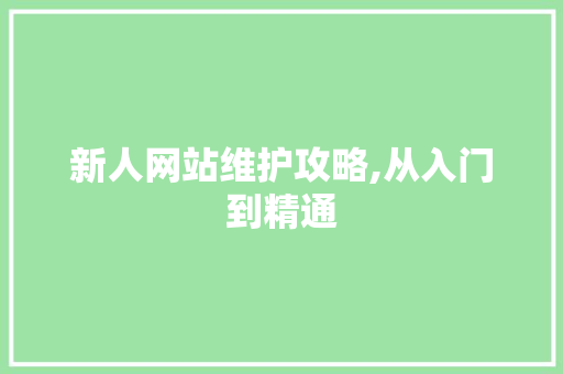 新人网站维护攻略,从入门到精通 必应SEO