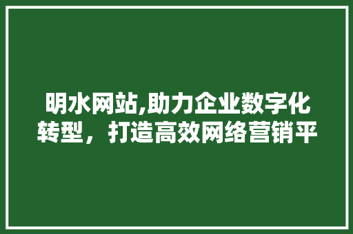 明水网站,助力企业数字化转型，打造高效网络营销平台 神马SEO