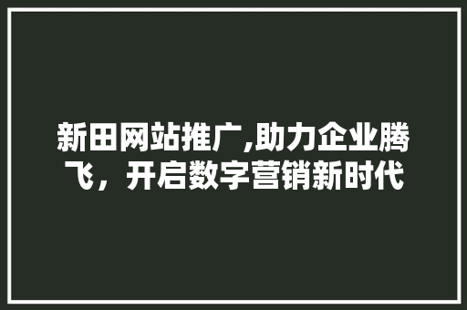新田网站推广,助力企业腾飞，开启数字营销新时代