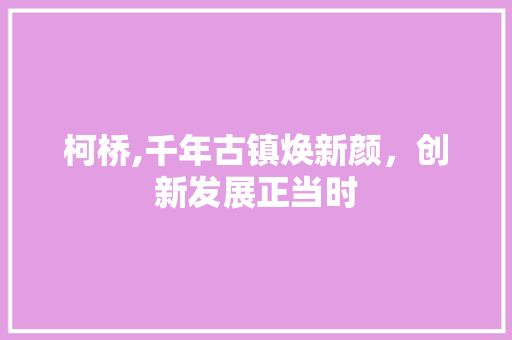 柯桥,千年古镇焕新颜，创新发展正当时 SEO关键词