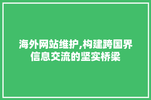 海外网站维护,构建跨国界信息交流的坚实桥梁
