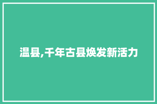 温县,千年古县焕发新活力 必应SEO
