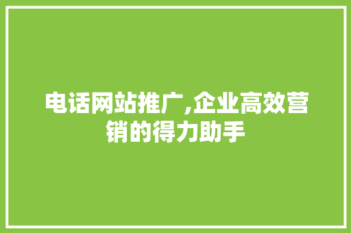 电话网站推广,企业高效营销的得力助手