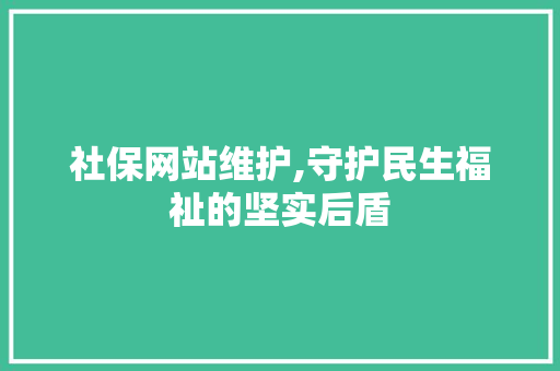 社保网站维护,守护民生福祉的坚实后盾 神马SEO