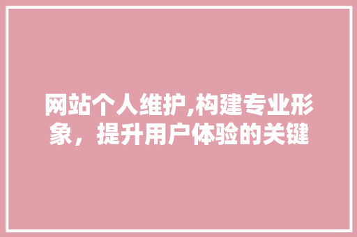 网站个人维护,构建专业形象，提升用户体验的关键 神马SEO