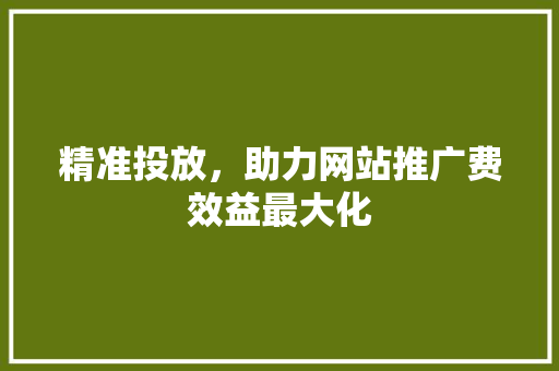 精准投放，助力网站推广费效益最大化 神马SEO