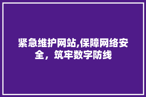 紧急维护网站,保障网络安全，筑牢数字防线 百度SEO
