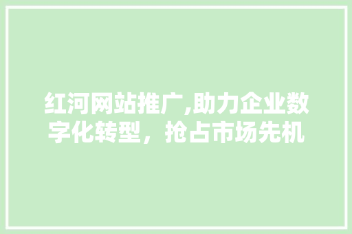 红河网站推广,助力企业数字化转型，抢占市场先机 网站建设公司