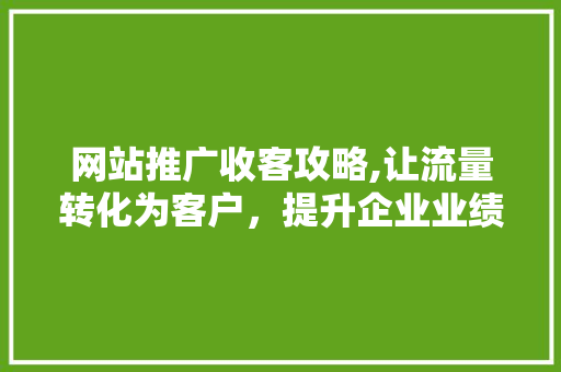 网站推广收客攻略,让流量转化为客户，提升企业业绩 SEO关键词
