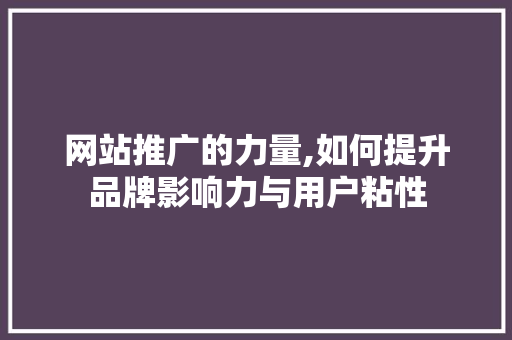 网站推广的力量,如何提升品牌影响力与用户粘性