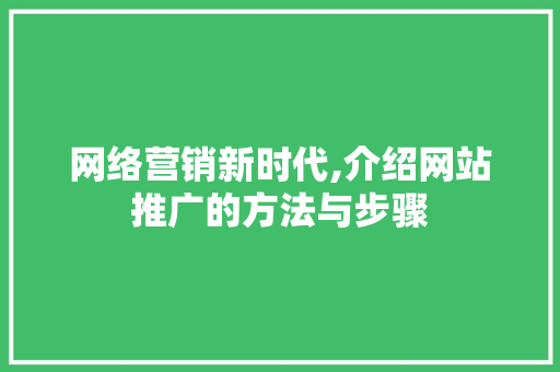 网络营销新时代,介绍网站推广的方法与步骤 网站建设公司
