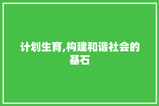计划生育,构建和谐社会的基石 网站建设公司