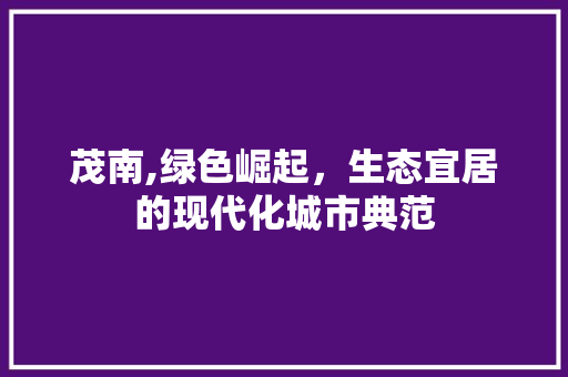 茂南,绿色崛起，生态宜居的现代化城市典范 网站建设公司
